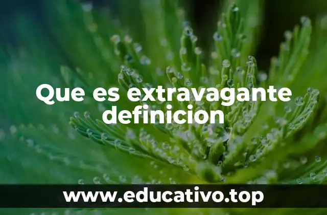 Que es extravagante definicion