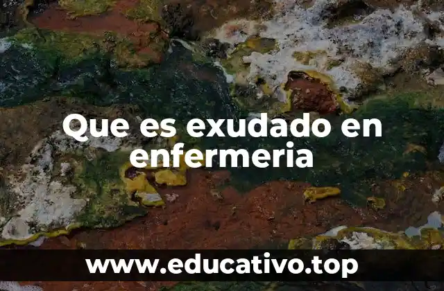 Que es exudado en enfermeria