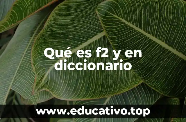 Qué es f2 y en diccionario
