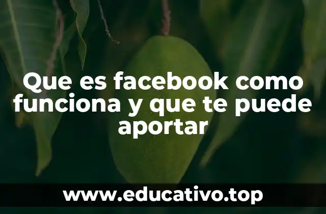 Que es facebook como funciona y que te puede aportar