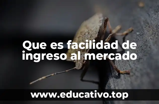 Que es facilidad de ingreso al mercado