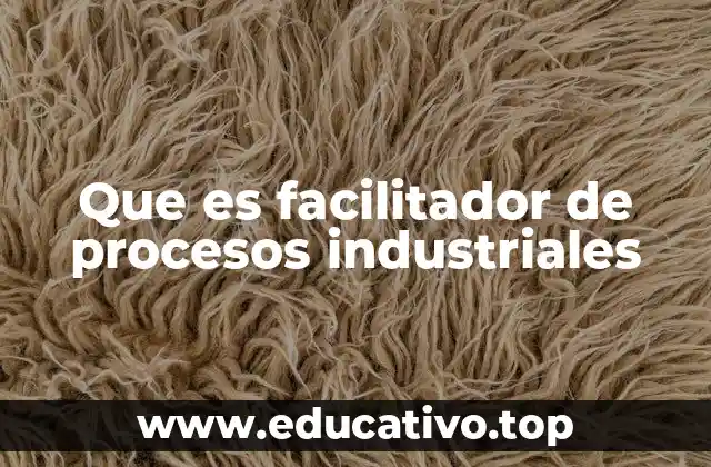 La importancia de los facilitadores en la cadena de producción
