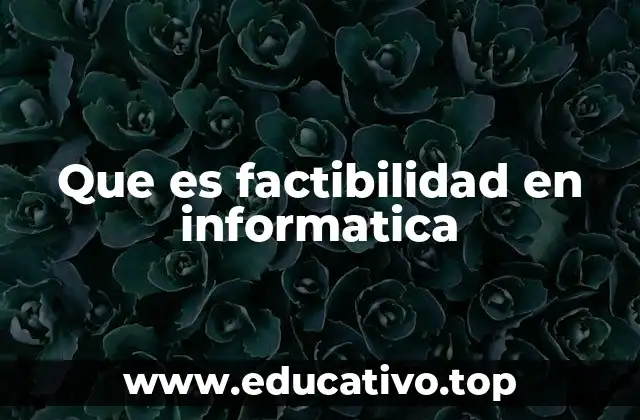 Que es factibilidad en informatica