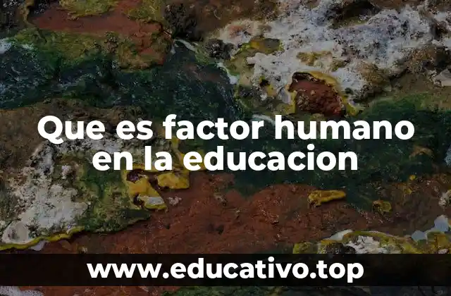 Que es factor humano en la educacion