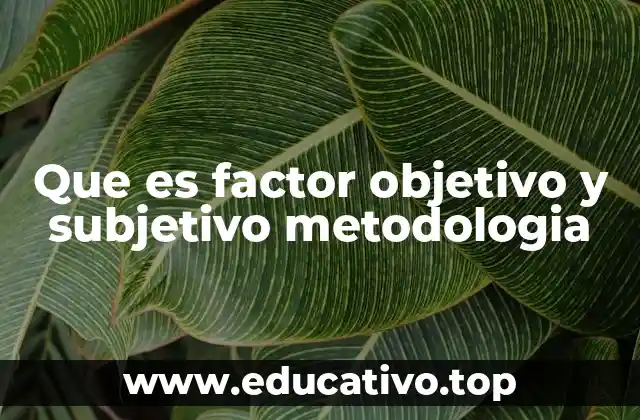 Que es factor objetivo y subjetivo metodologia