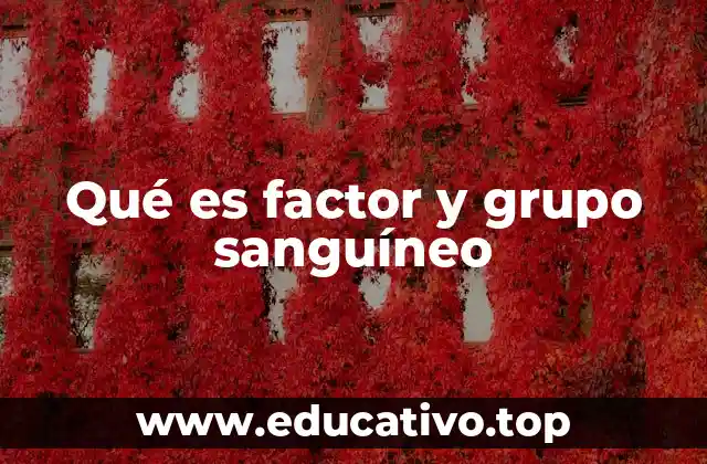 Qué es factor y grupo sanguíneo