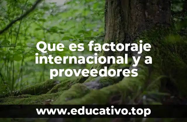 Que es factoraje internacional y a proveedores