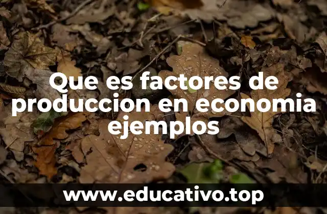 Que es factores de produccion en economia ejemplos