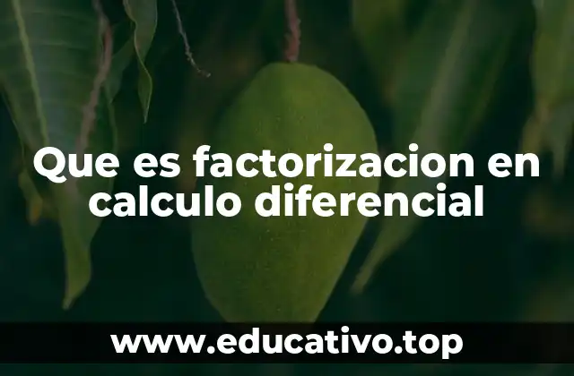 Que es factorizacion en calculo diferencial