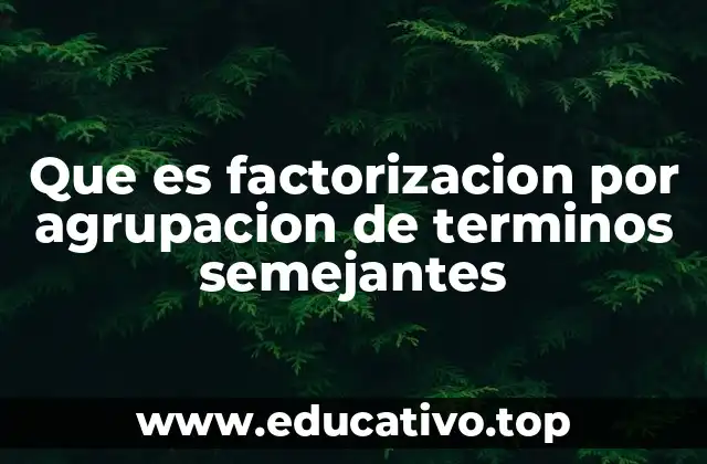 Que es factorizacion por agrupacion de terminos semejantes