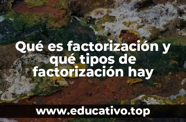 Qué es factorización y qué tipos de factorización hay