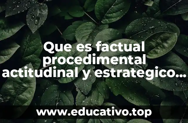 Que es factual procedimental actitudinal y estrategico segun tobon
