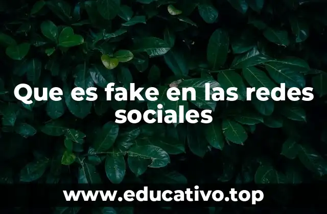 Que es fake en las redes sociales