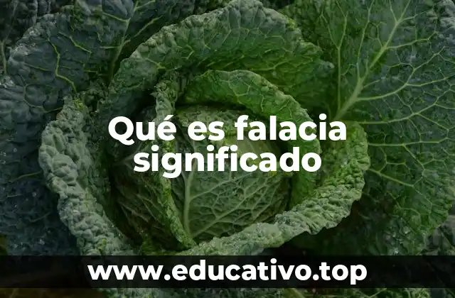 Qué es falacia significado