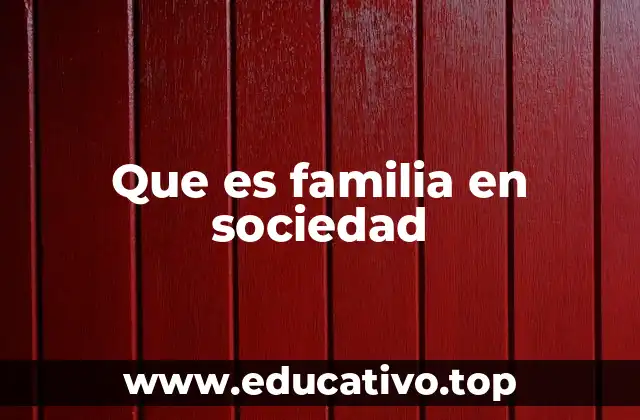 Que es familia en sociedad