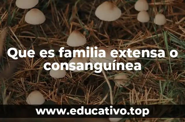 Que es familia extensa o consanguínea