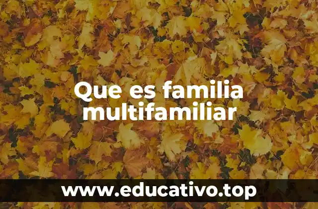 Que es familia multifamiliar