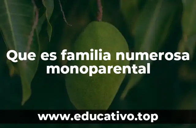 Que es familia numerosa monoparental