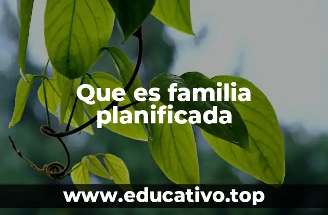Que es familia planificada
