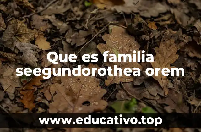 Que es familia seegundorothea orem