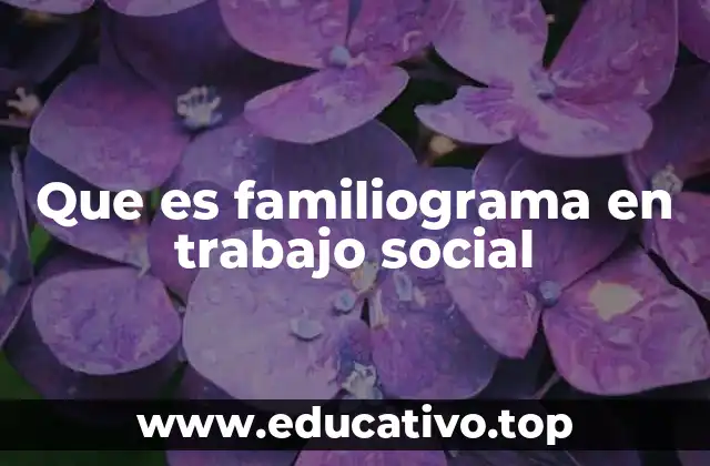 Que es familiograma en trabajo social