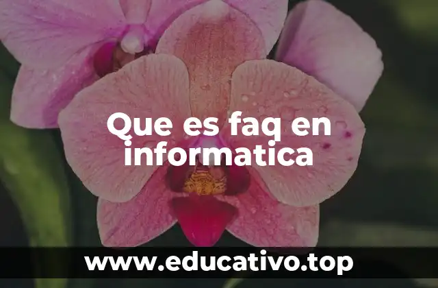 Que es faq en informatica