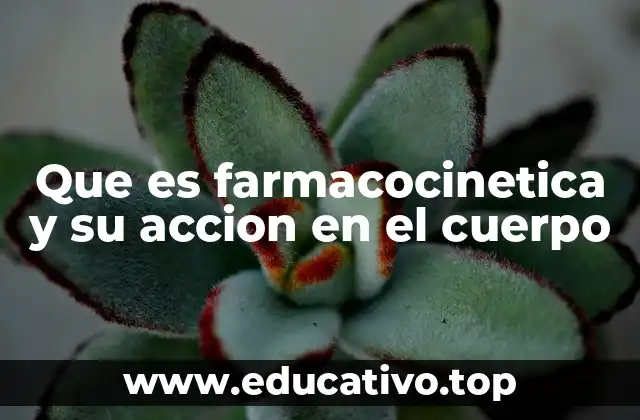 Que es farmacocinetica y su accion en el cuerpo