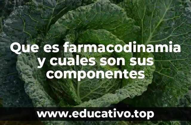 Que es farmacodinamia y cuales son sus componentes