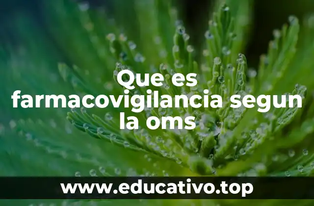 El papel de la farmacovigilancia en la salud pública