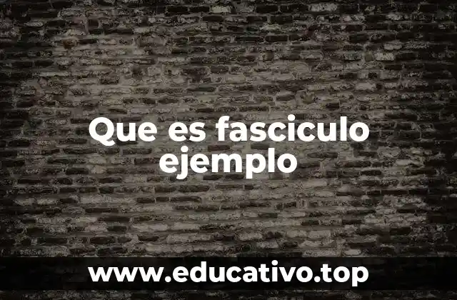 Que es fasciculo ejemplo