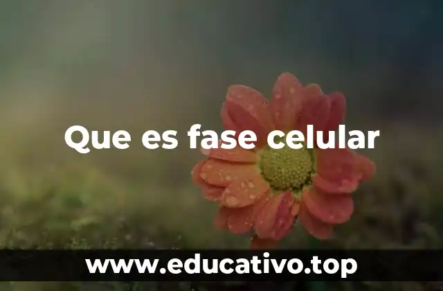 Que es fase celular