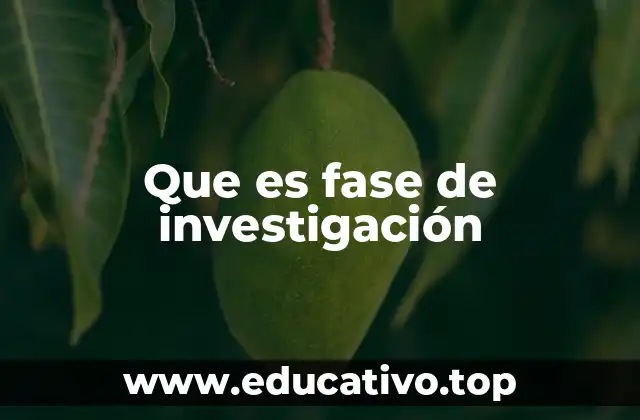 La importancia de estructurar una fase de investigación