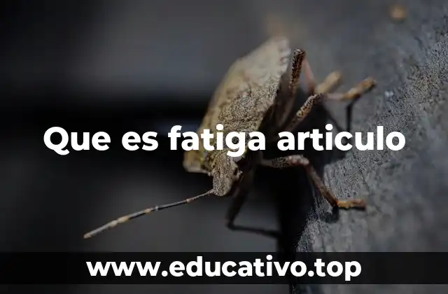Que es fatiga articulo