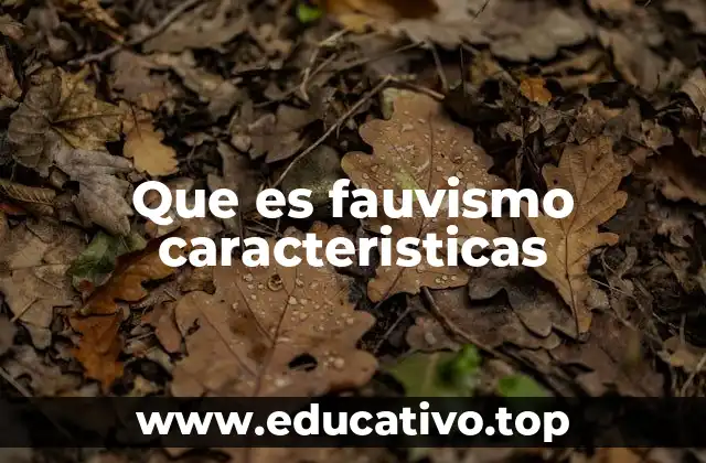 Que es fauvismo caracteristicas