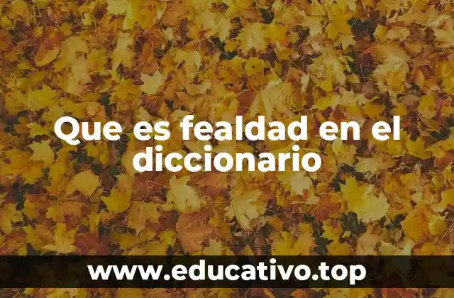 Que es fealdad en el diccionario