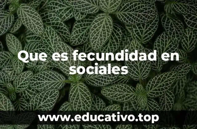 Que es fecundidad en sociales