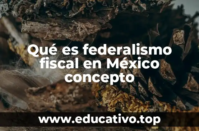 Qué es federalismo fiscal en México concepto