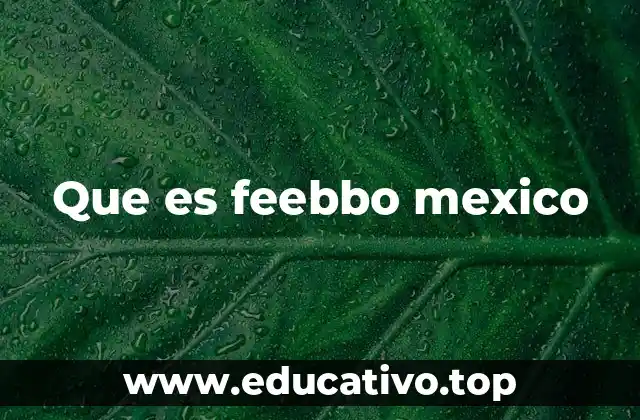 Que es feebbo mexico