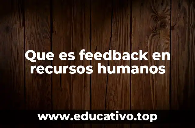 Que es feedback en recursos humanos