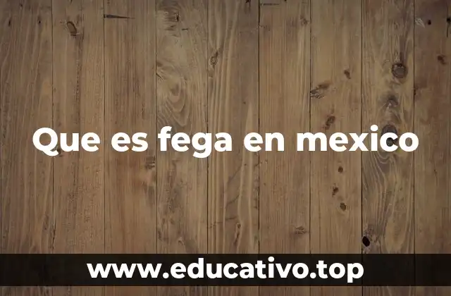 Que es fega en mexico