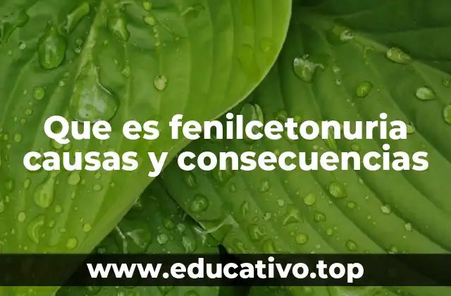 Que es fenilcetonuria causas y consecuencias