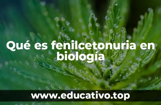 Qué es fenilcetonuria en biología