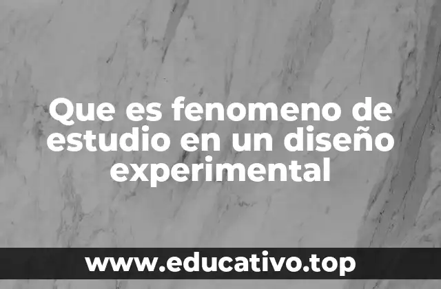 El corazón de cualquier investigación experimental