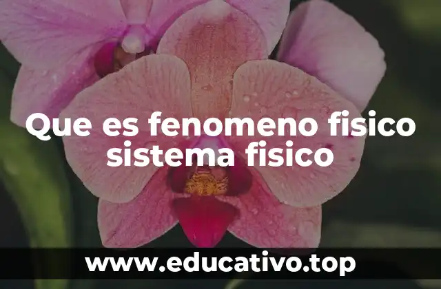Que es fenomeno fisico sistema fisico