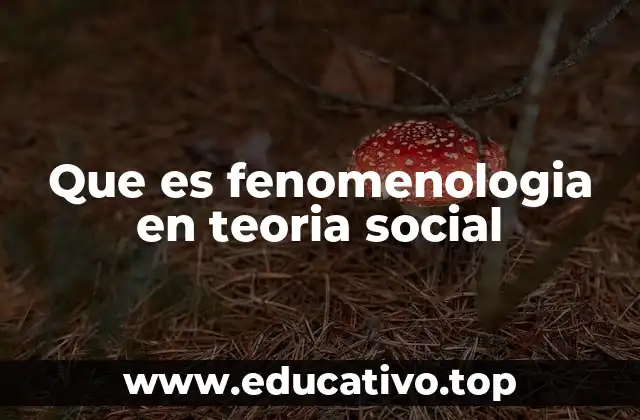 Que es fenomenologia en teoria social