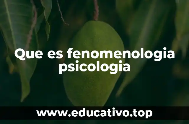 Que es fenomenologia psicologia