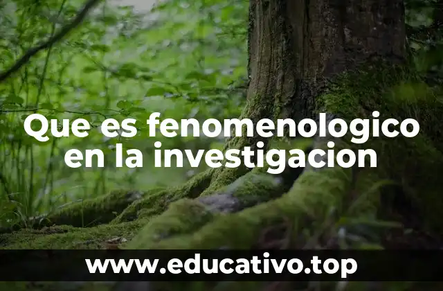 Que es fenomenologico en la investigacion