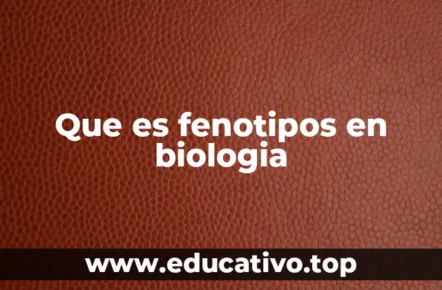 Que es fenotipos en biologia