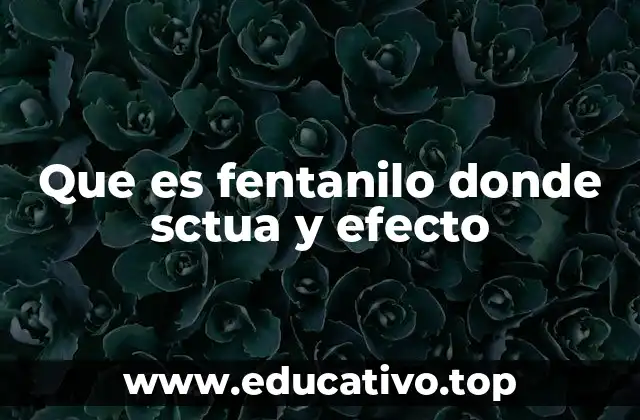 Que es fentanilo donde sctua y efecto