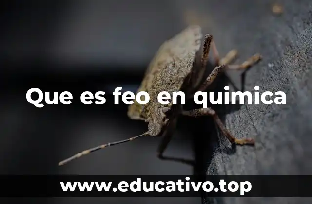 La importancia de lo asimétrico en la química